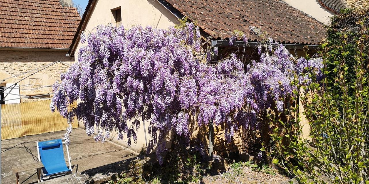 Gite Du Bouyssou Carsac-Aillac Bagian luar foto