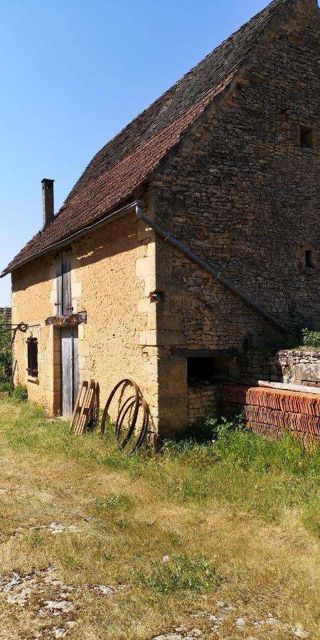 Gite Du Bouyssou Carsac-Aillac Bagian luar foto